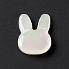 Natural White Shelll Beads BSHE-C003-01C-2