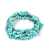 Natural Turquoise Beads Strands X-G-I283-A02-2