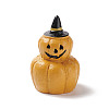 Halloween Theme Mini Resin Home Display Decorations DJEW-B005-19-1
