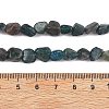 Natural Apatite Beads Strands G-F821-F01-01-5