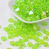 Eco-Friendly Transparent Acrylic Beads X-PL539-835-1