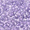 Transparent Glass Round Seed Beads X1-SEED-B001-05A-28-3