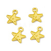 Rack Plating Alloy Charms FIND-G045-51MG-3