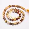 Natural Crazy Lace Agate Beads Strands G-G542-14mm-10-2