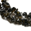 Natural Golden Sheen Obsidian Beads Strands G-G0003-B46-4