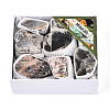 Natural Grey Moonstone Display Decorations G-N347-11C-1