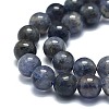 Natural Iolite Beads Strands G-E576-05B-3