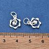 925 Sterling Silver Charms STER-D302-05A-S-3