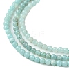 Natural Amazonite Beads Strands G-K365-C04-01-4