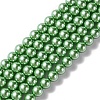 Eco-Friendly  Dyed Glass Pearl Round Bead Strands HY-A002-8mm-RB008-1