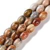 Natural Crazy Agate Beads Strands G-I369-B05-01-1