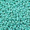 8/0 Baking Paint Glass Seed Beads SEED-M012-02A-41-3