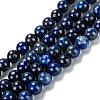 Natural Lapis Lazuli Bead Strands G-G953-04-8mm-4