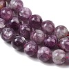 Natural Lepidolite/Purple Mica Stone Beads Strands G-G160-A01-02A-5