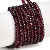 Natural Garnet Beads Strands G-H071-A02-01-1