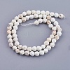 Dyed Natural Howlite Beads Strands TURQ-F010-12-2
