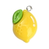 Resin with Alloy Pendants RE-CBA08CD-09A-1
