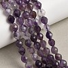 Natural Amethyst Beads Strands G-K376-F03-01-1