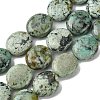 Natural Natural African Turquoise(Jasper) Beads Strands G-K365-B17-03-1