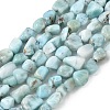 Natural Larimar Beads Strands G-K203-48-1