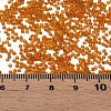 15/0 Transparent Czech Glass Seed Beads SEED-N004-004-17-6