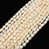 Natural Cultured Freshwater Pearl Beads Strands X-PEAR-L001-E-20-1