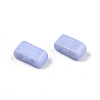 2-Hole Baking Paint Glass Seed Beads X-SEED-S031-M-SH494FR-3
