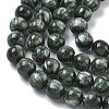 Natural Seraphinite Beads Strands G-C270-O01-07-4