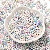 Baking Paint Glass Seed Beads SEED-F005-01A-03-2