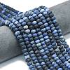 Natural Dumortierite Beads Strands G-P575-A03-8x5mm-1