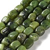 Natural Canadian Jade Beads Strands G-P497-01D-01-1