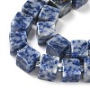 Natural Blue Spot Jasper Beads Strands G-D338-A02-4