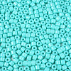 Opaque Baking Paint Glass Seed Beads SEED-T008-02O-3