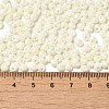 6/0 Glass Seed Beads SEED-M012-01A-10-4