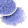 6/0 Transparent Inside Colours Glass Seed Round Beads X1-SEED-N006-004F-1