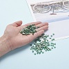 6/0 Glass Seed Beads SEED-YW0001-25F-7