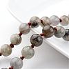 Natural Labradorite Necklaces NJEW-D264-07-2