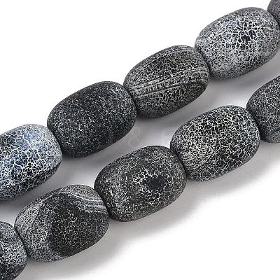 Natural Weathered Agate Beads Strands G-NH0047-B09-02-1