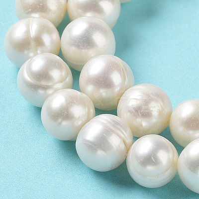 Natural Cultured Freshwater Pearl Beads Strands PEAR-E019-03-1