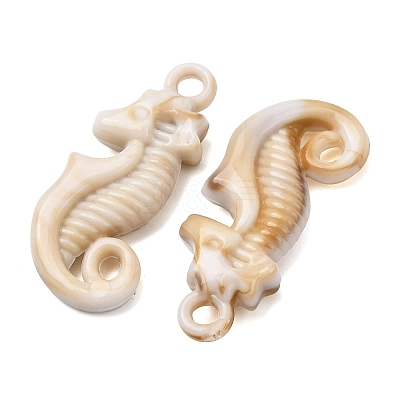 Imitation Shell Acrylic Pendants SACR-K005-03B-1