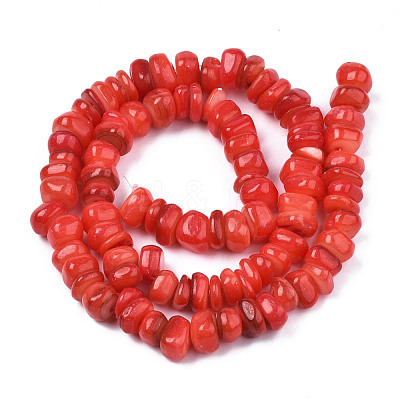 Natural Trochid Shell/Trochus Shell Beads Strands SHEL-S258-081-B06-1
