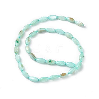 Natural Freshwater Shell Dyed Beads Strands SHEL-M018-13-1