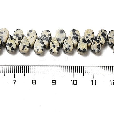 Natural Dalmatian Jasper Beads Strands G-B064-B11-1