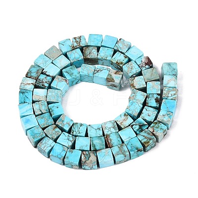 Natural Imperial Jasper Beads G-Q606-43A-03-1