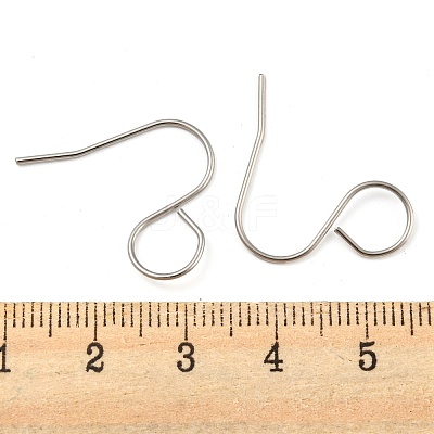 316 Surgical Stainless Steel Earring Hooks STAS-D093-01B-P-1