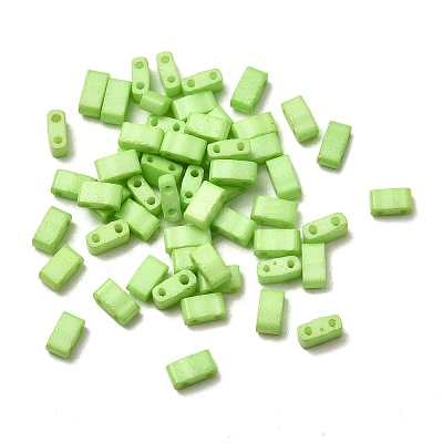 2-Hole Baking Paint Glass Seed Beads LS-SEED-S023-17B-44-1