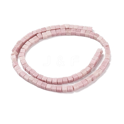 Natural Rhodonite Beads Strands X-G-F631-K20-1