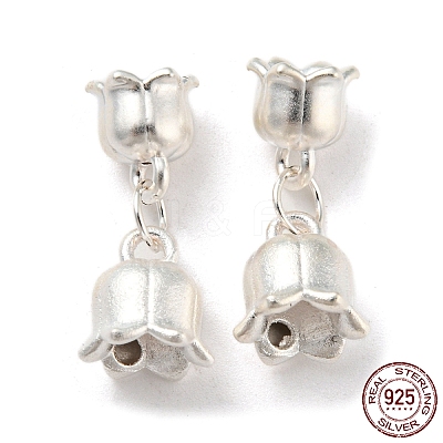 925 Sterling Silver Pendants STER-B002-09S-1
