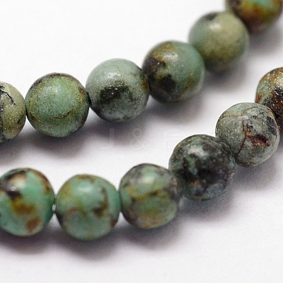 Natural African Turquoise(Jasper) Beads Strands G-N0188-02-2mm-1