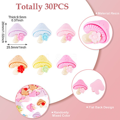 30Pcs Opaque Resin Cabochons CRES-TA0001-46-1